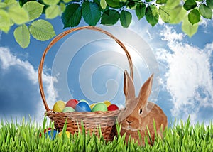 Cute bunny and wicker basket with colorful Easter eggs on green grass outdoors