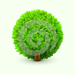 Cute bush with green leaves. Realistic spring or summer foliage, bush or hedge. Eco concept.