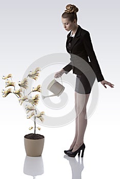 Cute business woman watering euro money plant
