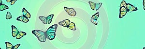 cute butterfly background Delightful Butterfly Illustration