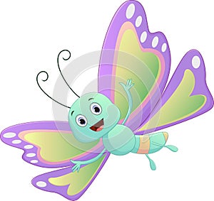 Cute butterfly cartoon