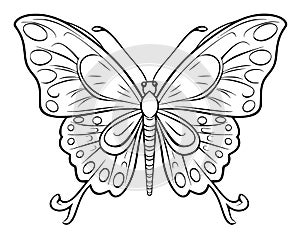 Cute Butterfly Coloring Page Drawing For Kids