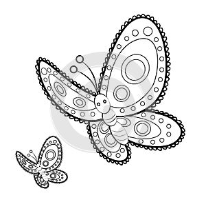 Butterfly mandala adult anti stress Coloring Page photo
