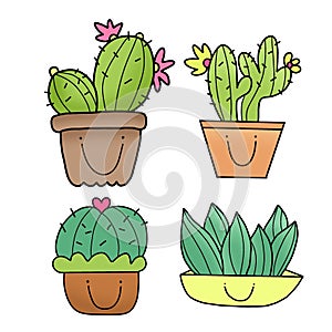 Cute cactus in a pot