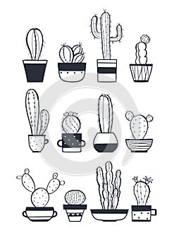 Cute cactus set