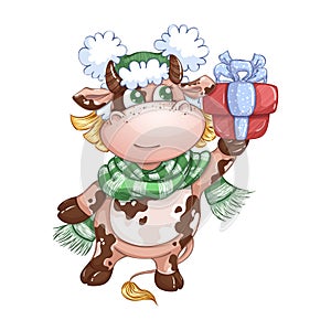 A cute calf girl carries a gift box with a bow.