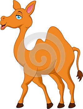 Cute camel cartoon