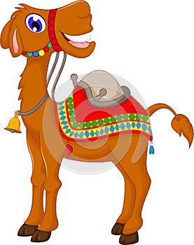 Cute camel cartoon