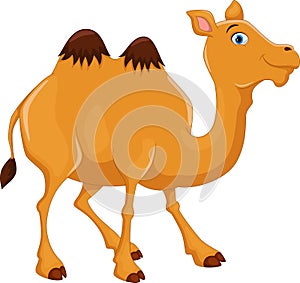 Cute camel cartoon