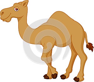 Cute camel cartoon photo