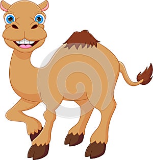 Cute camel cartoon posing smiling isolated on white background