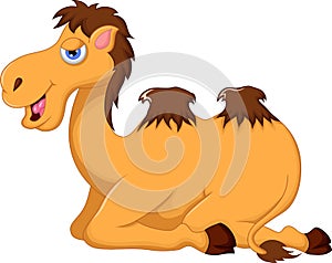 Cute camel cartoon sitting