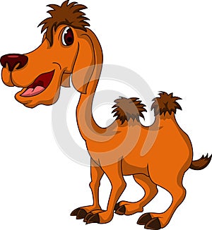 Cute camel cartoon for you design