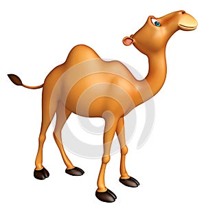 Cute Camel funny cartoon character