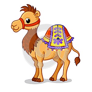 Cute camel stands in a cartoon style. Vector illustration with cute animals