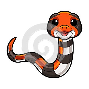 Cute cape coral snake cartoon