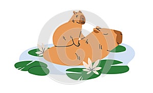Cute capybara family. Funny mother and baby cub capibaras. Happy capy animal characters, mom and kid, bathing, swimming