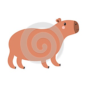 Cute capybara standing icon. Kawaii cartoon funny baby character. Childish style. Water pig. Smiling face head. Sticker print,