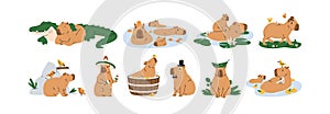 Cute capybaras set. Funny amusing capibara characters swimming in water, bathing, walking, relaxing, playing. Adorable