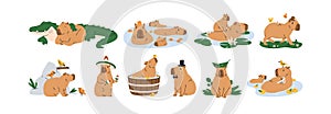 Cute capybaras set. Funny amusing capibara characters swimming in water, bathing, walking, relaxing, playing. Adorable photo