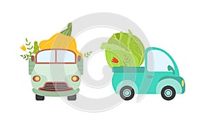 Cute Cars Delivering Vegetables, Small Trucks Shipping Cabbage and Squash Fresh Vegetables Cartoon Vector Illustration
