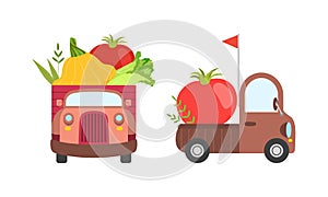 Cute Cars Delivering Vegetables, Small Trucks Shipping Squash, Tomato,Chinese Cabbage Fresh Vegetables Cartoon Vector