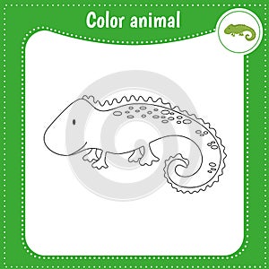 Cute cartoon animal - coloring page for kids. Educational Game for Kids. Vector . Color iguana