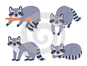 Cute cartoon baby raccoon, animal sleep and rest