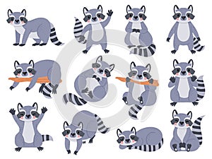 Cute cartoon baby raccoon sleeping, standing and waving. Funny raccoons poses. Happy forest animal character, racoon