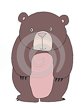 Cute cartoon,bear   animal illustration  white background