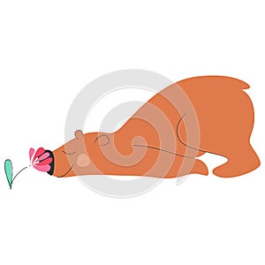 Cute cartoon bear smelling the flower. Vector illustration.