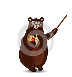 Cute cartoon bear teacher holding pointer and autumn leaves isolated on white background.