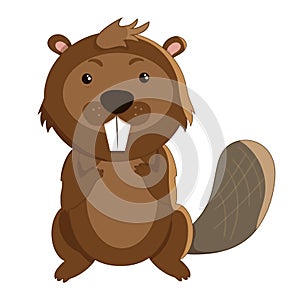Cute cartoon beaver in flat style on white background