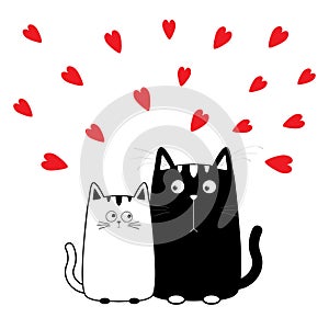 Cute cartoon black white cat boy and girl. Kitty couple on date. Big mustache whisker. Funny character set. Happy family. Love
