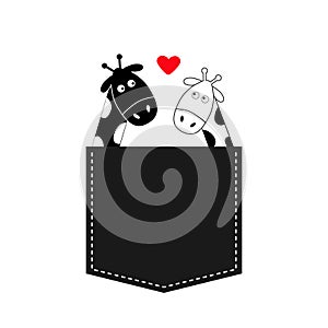 Cute cartoon black white giraffe in the pocket Boy girl with heart. Camelopard couple on date. Long neck. Funny character set. photo