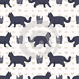 Cute cartoon British shorthair cat and kitten seamless vector pattern. Pedigree kitty breed domestic kitty background