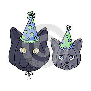 Cute cartoon British Shorthair kitten and cat face with party hat vector clipart. Pedigree kitty breed for cat lovers