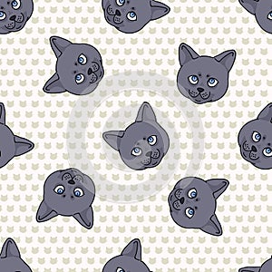 Cute cartoon British shorthair kitten face seamless vector pattern. Pedigree kitty breed domestic kitty background. Cat