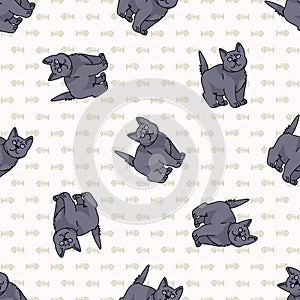 Cute cartoon British shorthair kitten seamless vector pattern. Pedigree kitty breed domestic kitty background. Cat lover