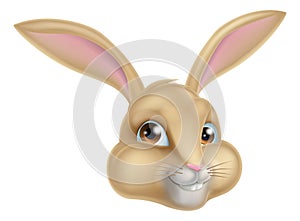 Cute Cartoon Bunny Rabbit