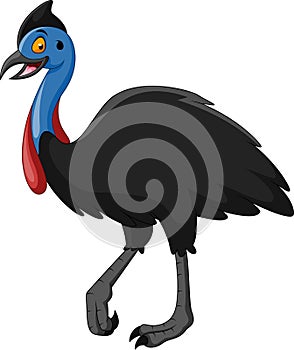 A Cute cartoon cassowary smile