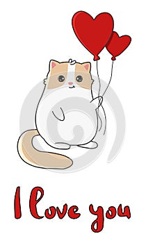 Cute cartoon cat with balloons. Happy Valentine's day greeting card.