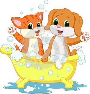 Cute Cartoon cat and dog bathing time