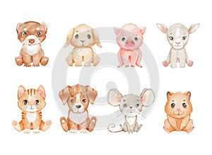 Cute cartoon cat, dog and rabbit isolated on white. Childish funny characters set