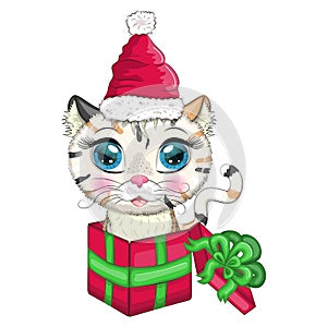Cute cartoon cat in a santa hat in a gift box, New Year's gift concept. Winter 2023, Christmas and Chinese New