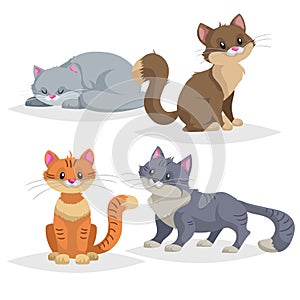 Cute cartoon cats different breeds. Domestic animals set..Ginger, blue, brown cats in comic style.