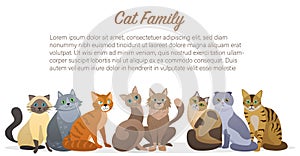Cute cartoon cats family staing together front view. Cat pet friend.