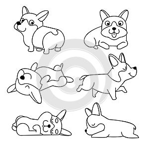 Cute cartoon character Corgi dog. Vector corgi puppy on a white background isolated. Page for coloring book.