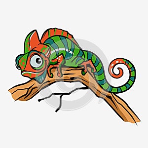 Cute cartoon character green chameleon lizard animal.Reptile in wildlife isolated in warm background. Vector