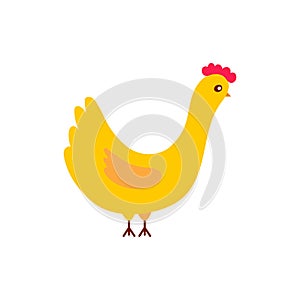 Cute cartoon chicken vector illustration. Hen isolated